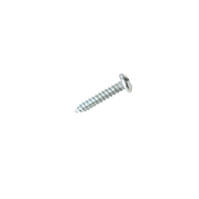 Tornillo Autorroscante Cabeza Pan 10x1" x 100 unid.