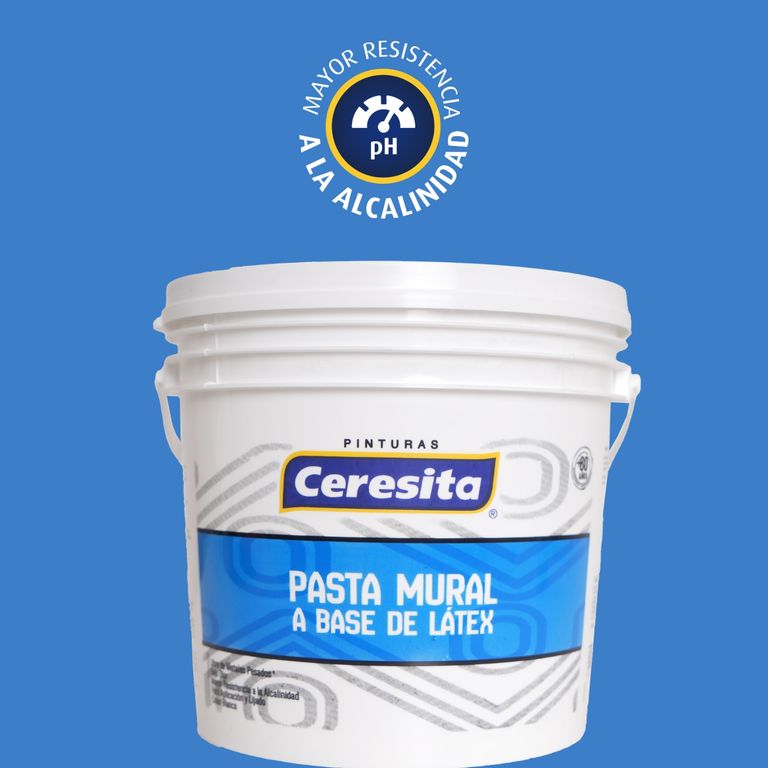 Pasta Mural Blanca 1GL