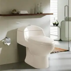 SENSI DACQUA - WC Inodoro One Piece Lara Plus Bone