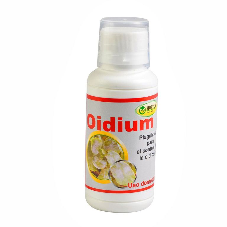 Oidium Elimina Hongos en Plantas 100ml Hongo 6 cm13.5 cm6 cm