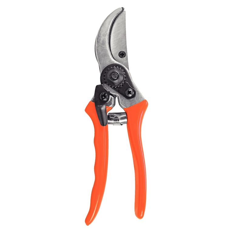 Tijera de Poda Profesional Metal/Plástico Naranja 10.4x3x