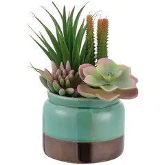 JUST HOME COLLECTION - Arreglo Suculenta Con Maceta Turquesa 21cm