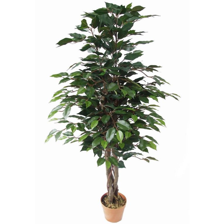 Planta artificial Ficus Verde 55x126cm