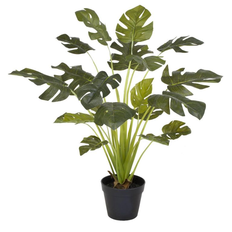 Planta artificial Monstera Verde 67x70cm