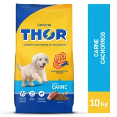 THOR - Thor para Perro Sabor Carne 10kg