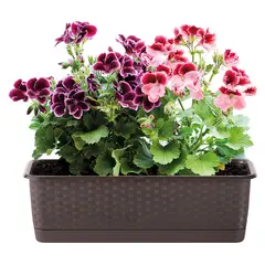 POLINPLAST - Macetero Mimbre Color Nogal 18.6x15.3x