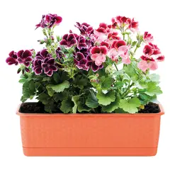 POLINPLAST - Macetero Mimbre Color Cerezo 18.6x15.3x