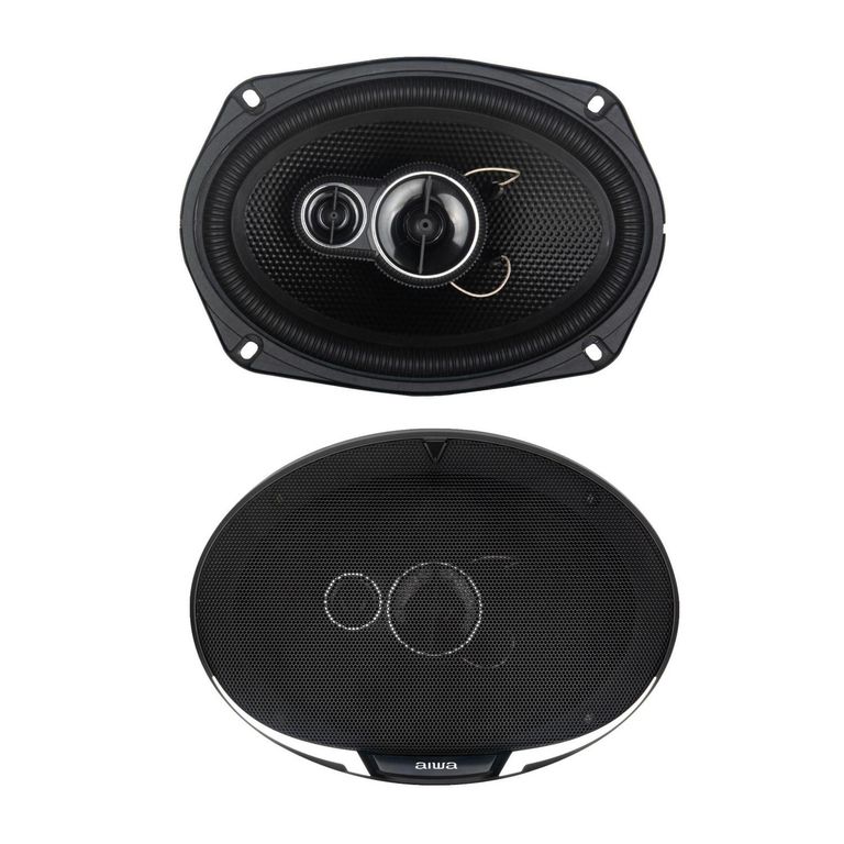 Parlante para Automóvil 3V 300W