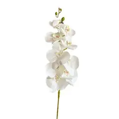 GENERICO - Orquídea Grande Blanco