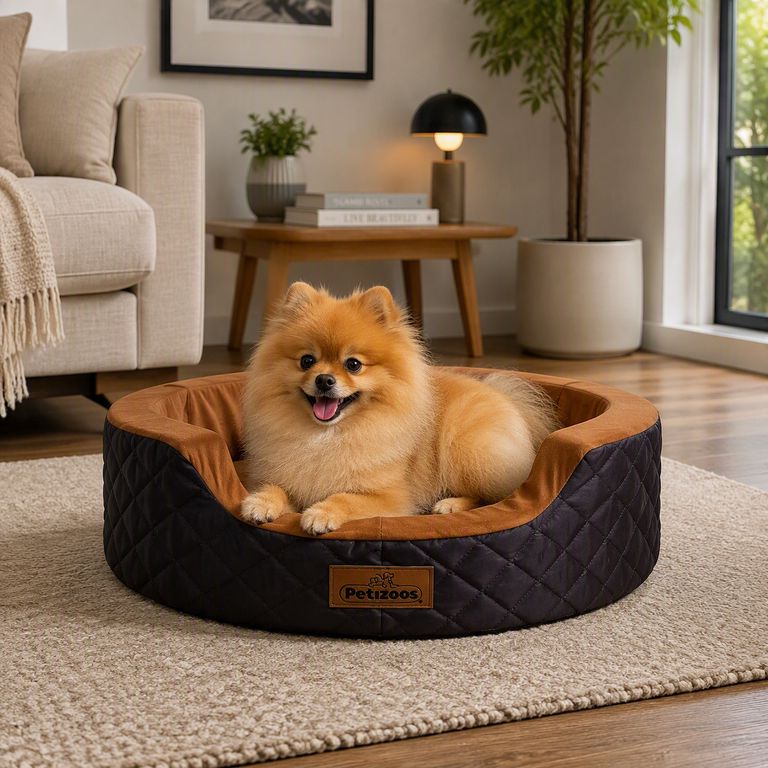 Cama de Algodón para Perros raza pequeña 48 x 51 x 14 cm color Marrón