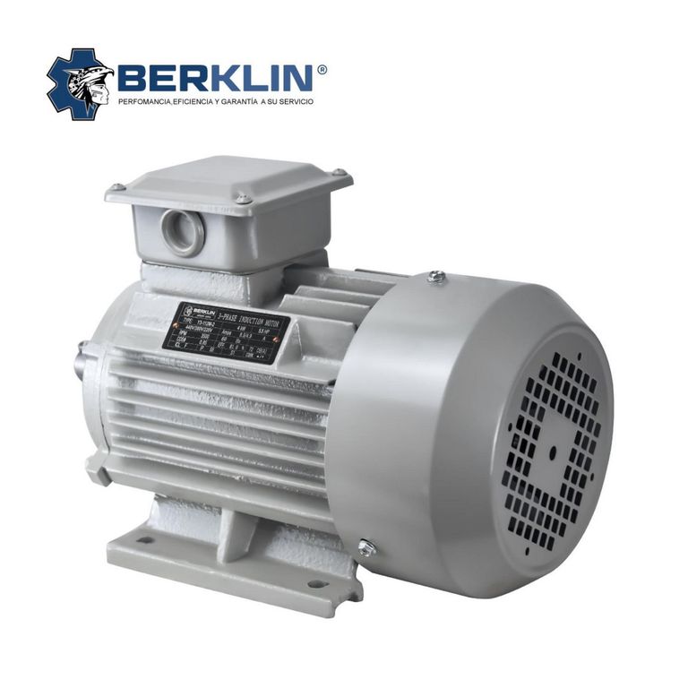 Motor Eléctrico Trifásico 5.5HP 3500RPM Berklin