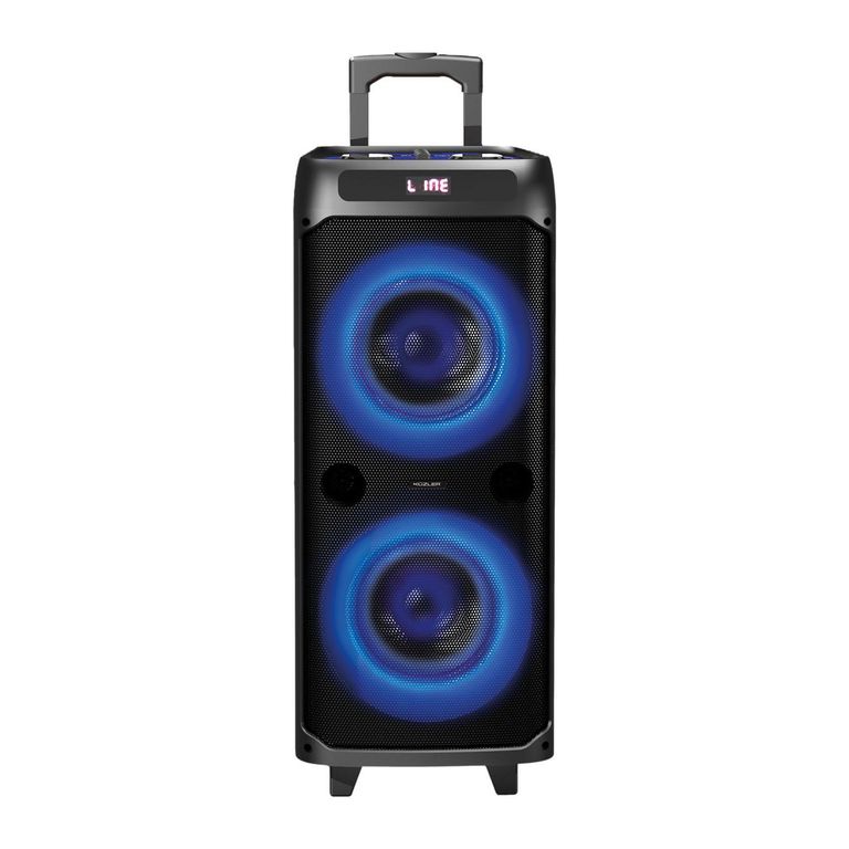 Parlante Karaoke Helgue Kuzler 1600W