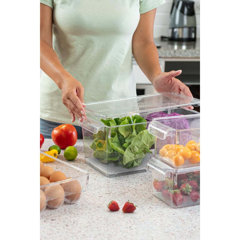 Caja Organizadora con Tapa 5.5lt