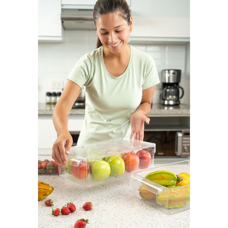 Caja Organizadora con Tapa 3.6L
