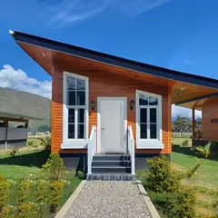 PAMA - Puerta Exterior de Madera Pino Mach Nat Bisel California Blanca 45x850x2070