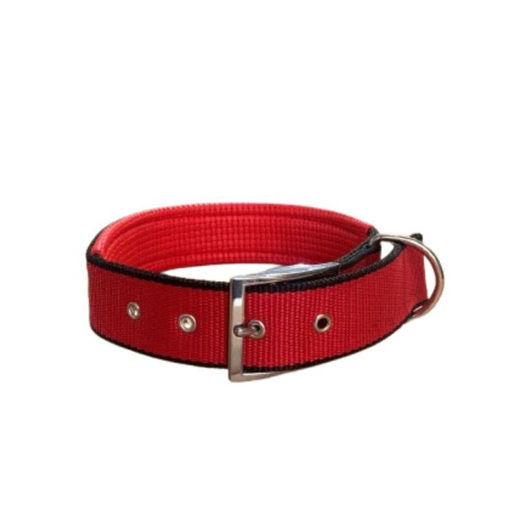 Collar para Mascota Rojo Talla XL