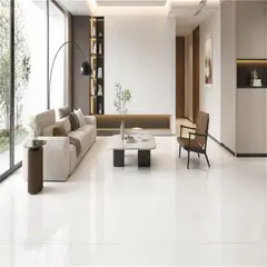 PORCELATINO - Gres Puro Blanco 60 x 120