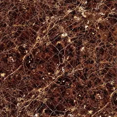 undefined - Cerámico Negro Mármol 60x60