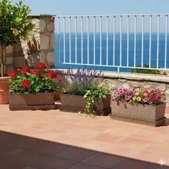 REYPLAST - Maceta Rectangular Ratán 56 X 19 Cm Con Plato.