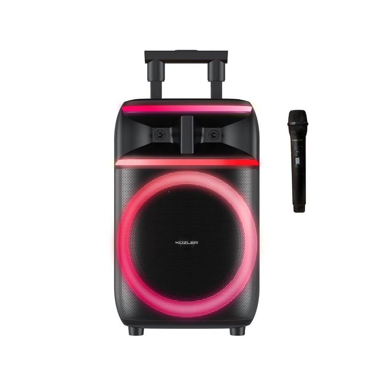 Parlante Bluetooth 8 Horas 1000W Freqon