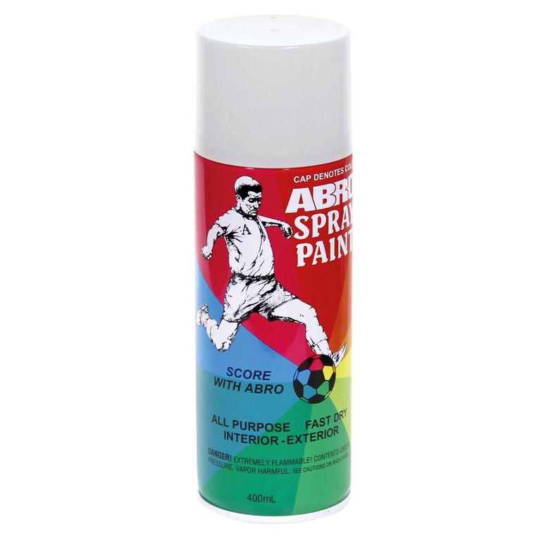 Pintura En Spray Blanco Mate