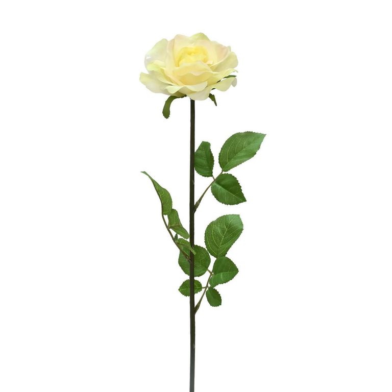 Vara Rosa Blanco 74cm