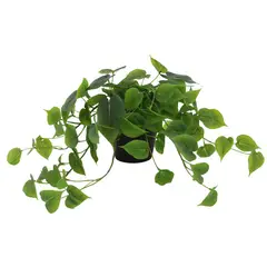 JUST HOME COLLECTION - Planta Artificial Pothus Verde 40cm