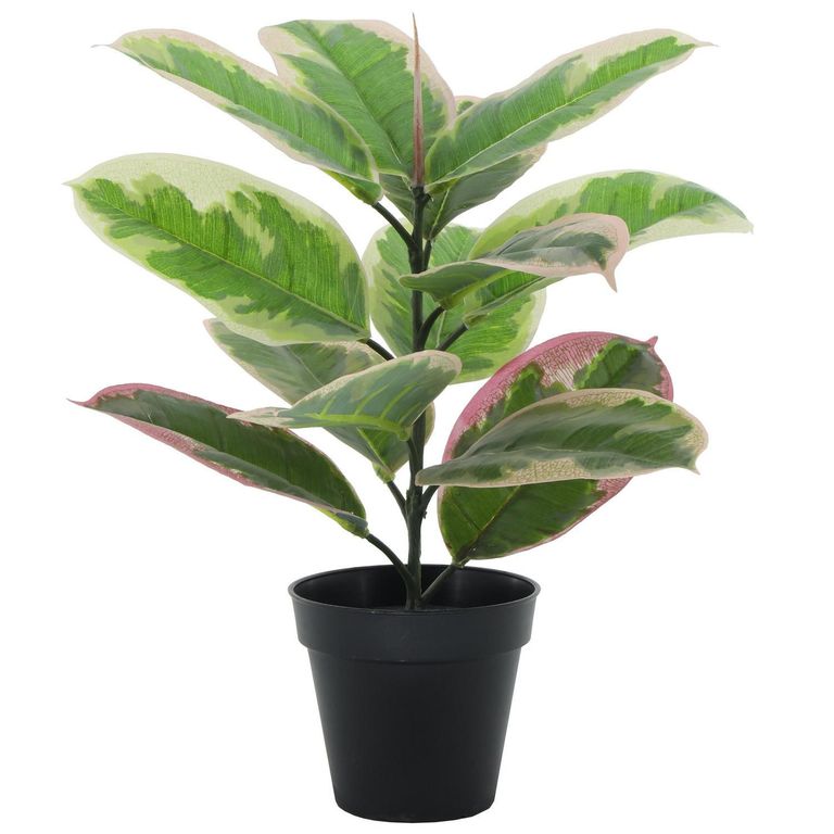 Planta Artificial Gomero Rosado 43cm