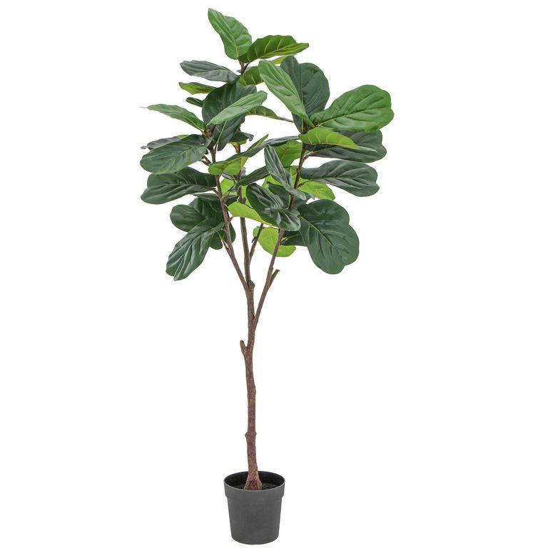 Planta Artificial Ficus Lyrata Verde 188cm