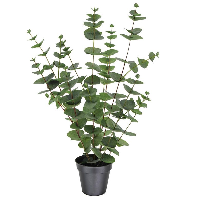 Planta Artificial Eucaliptus Verde 59cm
