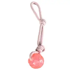 PETIZOOS - Juguete de Cuerda Perro 6x33cm