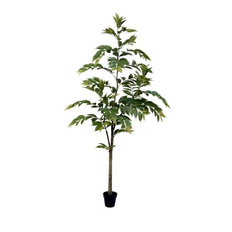 Planta Artif Cendrela 210cm