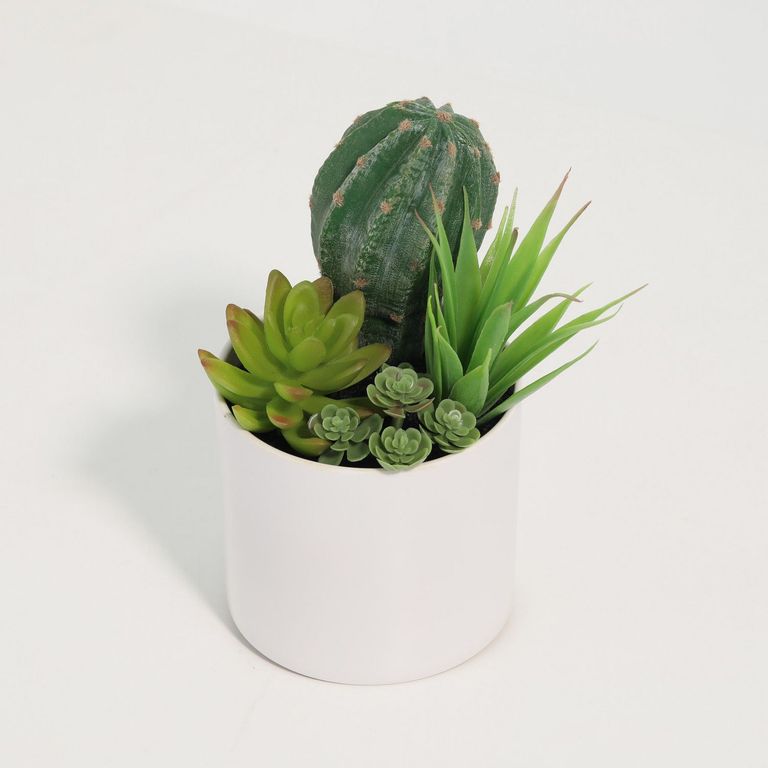 Cactus Artificial 18cm