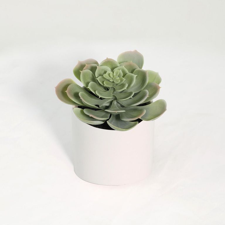 Suculenta Artificial de 18cm