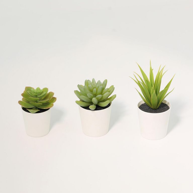 Set de 3 Suculentas Artificiales 14cm