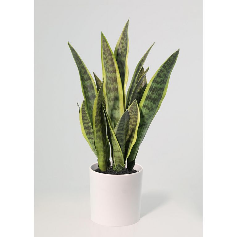 Planta Artificial Sansevieria 70 cm