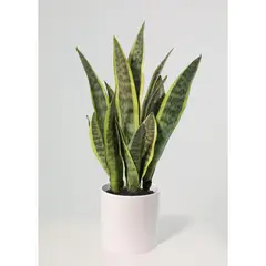 JUST HOME COLLECTION - Planta Artificial Sansevieria 70 cm