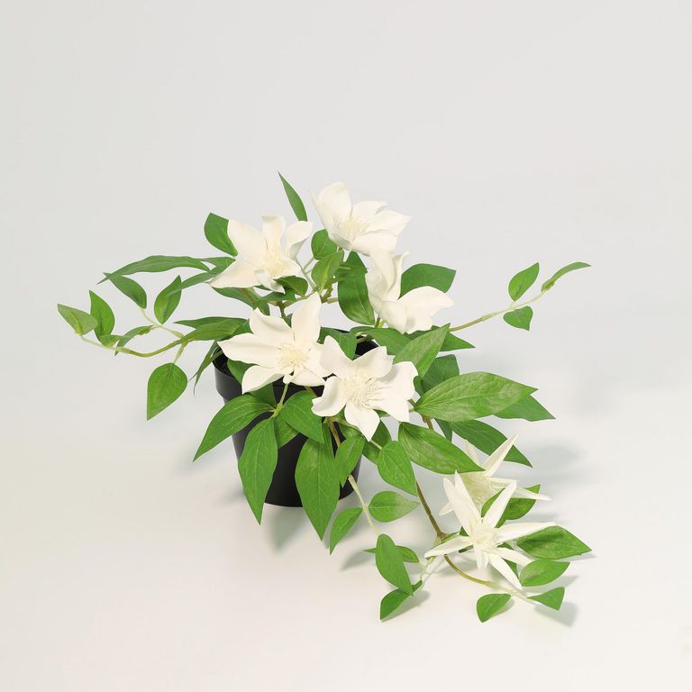 Planta Artificial Clematis Blanca 23cm