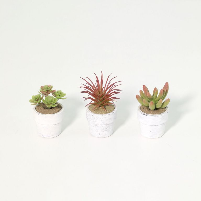 Set de 3 Suculentas Artificiales 7cm