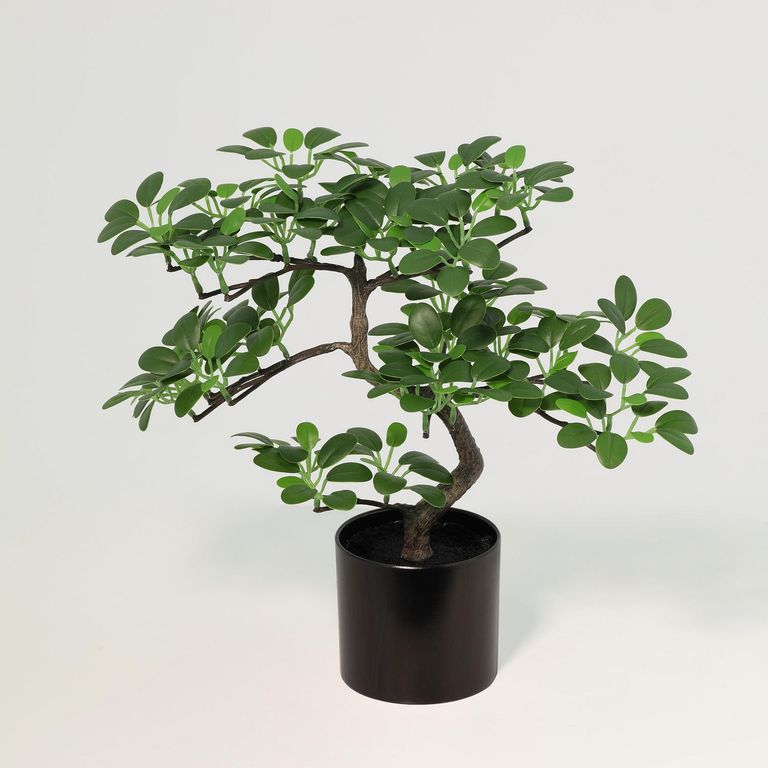 Arbol Bonsai Artificial 24cm