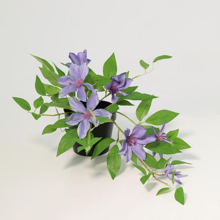 Planta Artificial Clematis Violeta 23cm