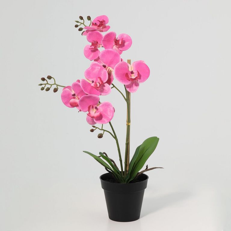 Orquídea Artificial Rosa 48cm