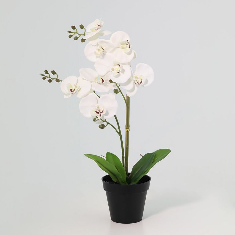 Planta Artificial Orquidea Blanca 48cm