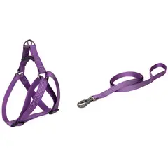 PETIZOOS - Juego de Arnés y Correa para Perro Mediano