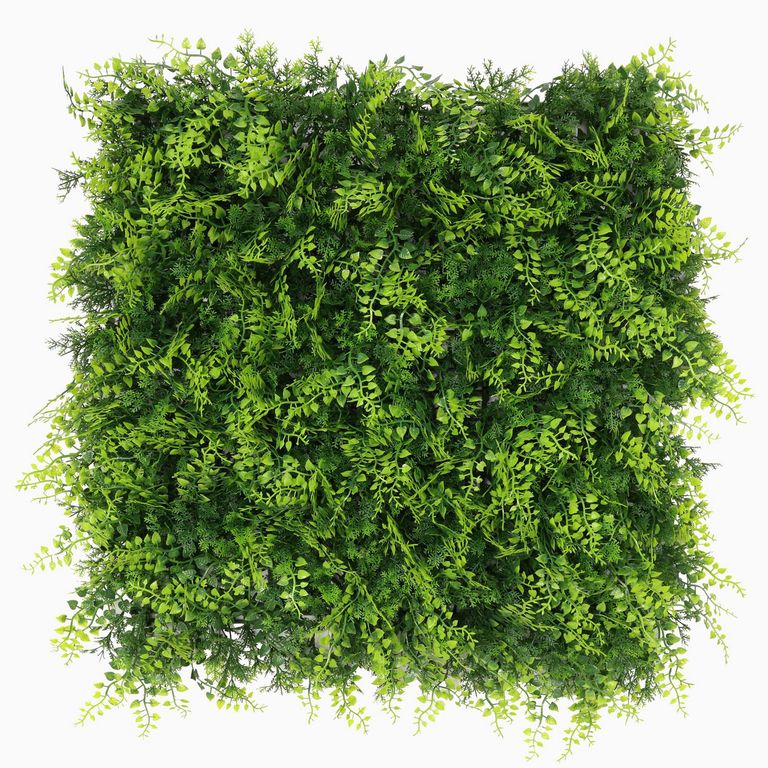 Palmeta Jardín Vertical Tupido 50x50