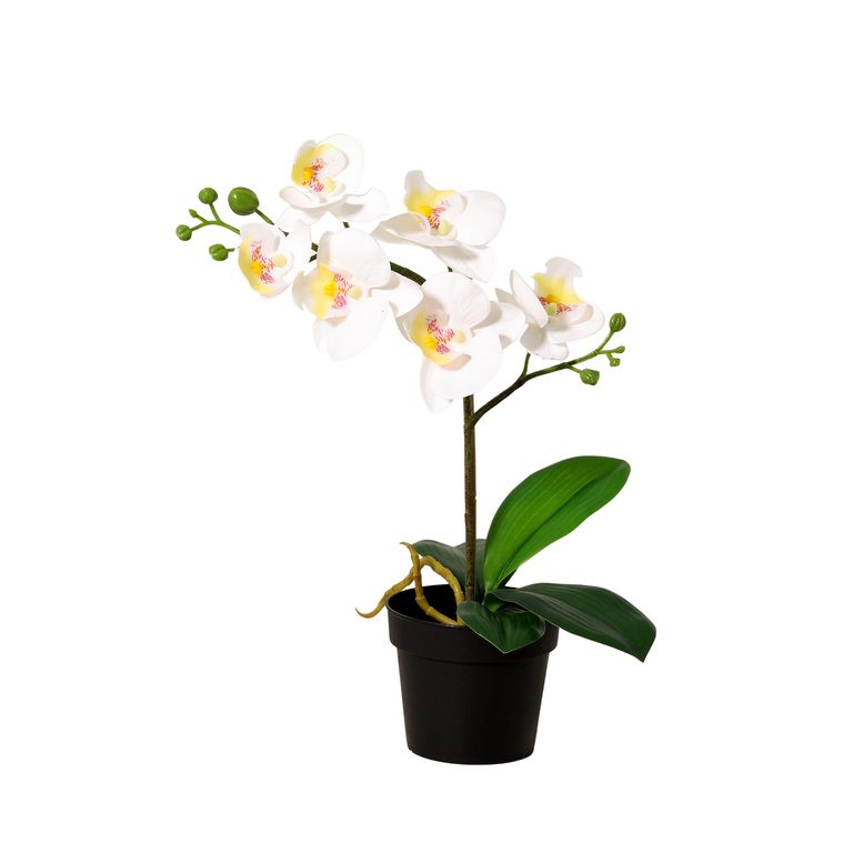Planta Artificial Orquídea Color Surtido 34cm