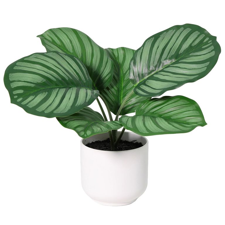 Planta Artificial Calathea 34x21cm