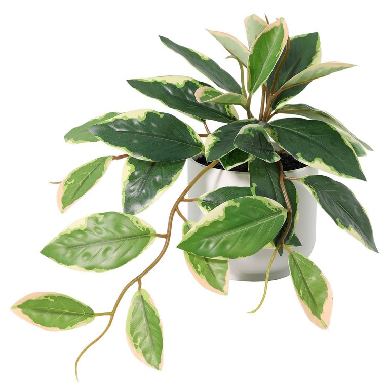 Planta Artificial Hoya 24x19 cm
