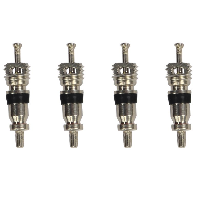 4X Núcleo Schrader (Pepa).