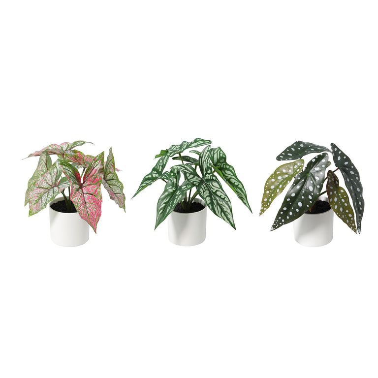 Planta Artificial 25 cm Verde y Blanco
